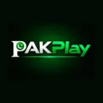 PakPlay Game Download for Android in Pakistan (2025) 5 PakPlay Game