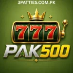 Pak500 Game Download 2026 – APK, Login, Earn Money Guide (Latest Update) 5 Pak500 Game